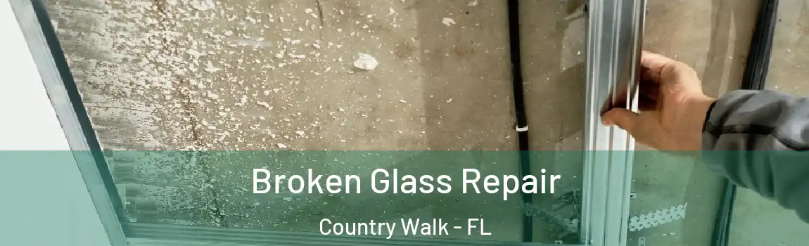 Broken Glass Repair Country Walk - FL