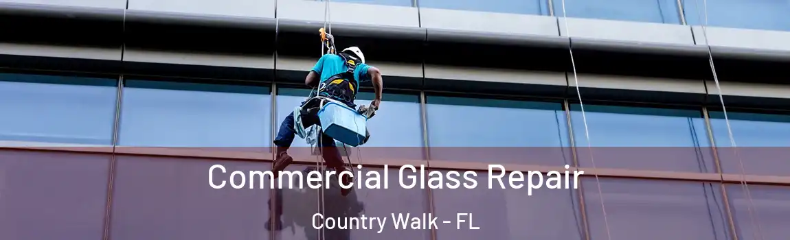 Commercial Glass Repair Country Walk - FL