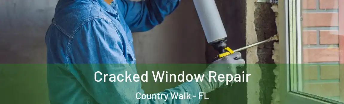 Cracked Window Repair Country Walk - FL