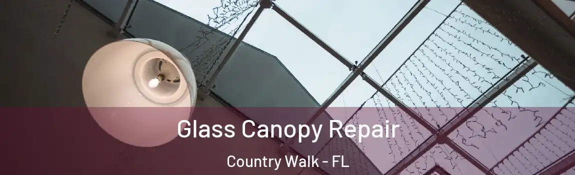 Glass Canopy Repair Country Walk - FL