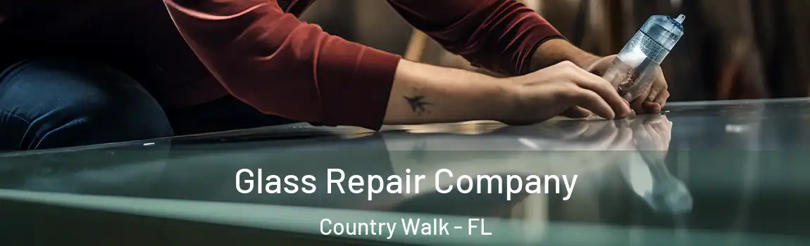 Glass Repair Company Country Walk - FL