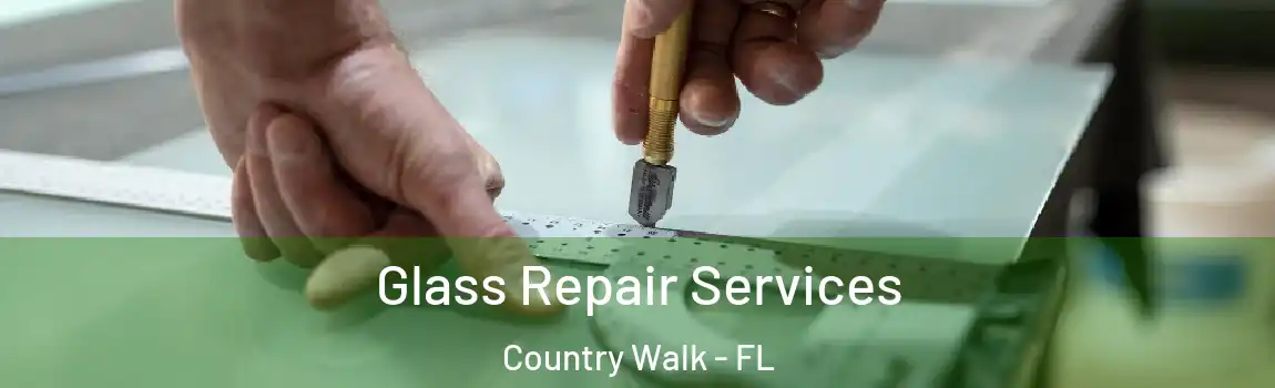 Glass Repair Services Country Walk - FL